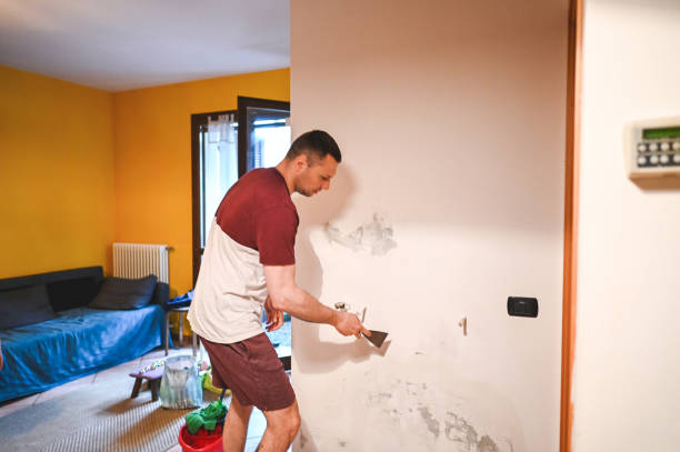 Best Home Mold Removal  in Dayton, MN